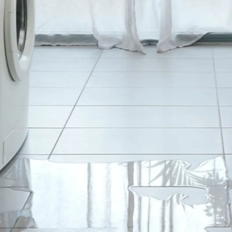 Appliance Leak Cleanup in Oxford, IN